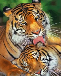 The Tigers In Love Diamond Painting