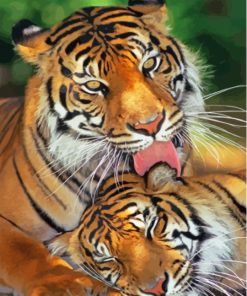 The Tigers In Love Diamond Painting