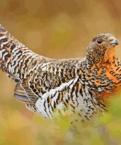 Western Capercaillie Diamond Painting