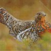 Western Capercaillie Diamond Paintings