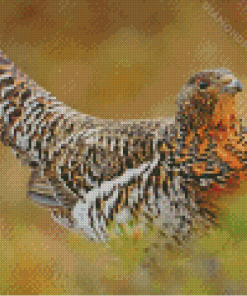 Western Capercaillie Diamond Paintings