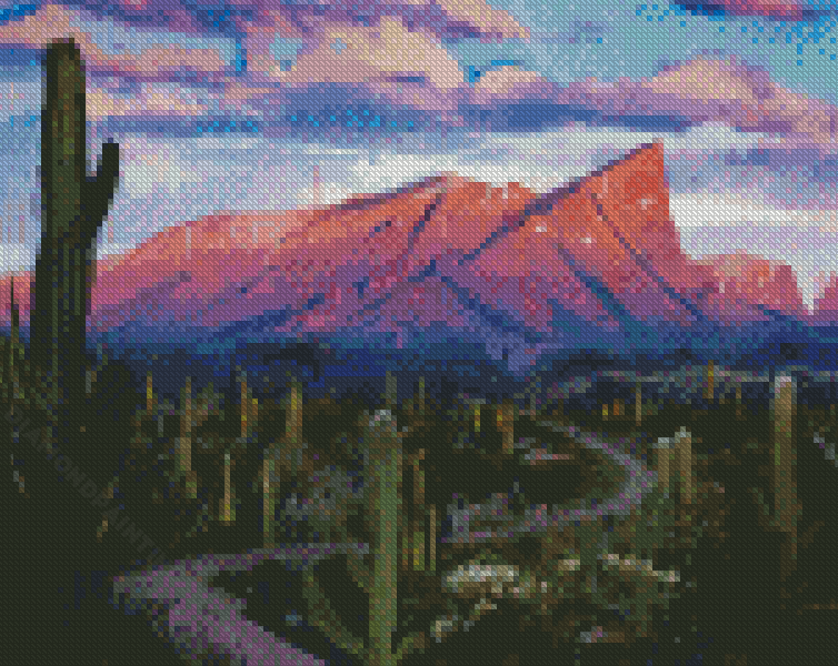 Cactus Landscape Diamond Painting COMPLETED