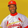 Aesthetic Bob Gibson Diamond Painting