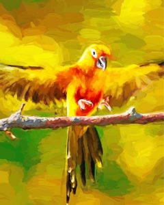 Aesthetic Golden Conure Diamond Painting