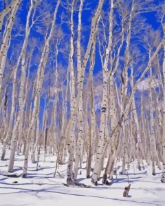 Aspen Trees Winter Snow Diamond Painting