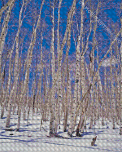 Aspen Trees Winter Snow Diamond Paintings