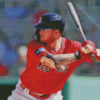 Boston Red Sox Player Diamond Paintings