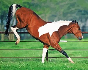 Bucking Horse Diamond Painting