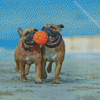 Bulldogs Playing At The Beach Diamond Paintings