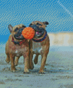 Bulldogs Playing At The Beach Diamond Paintings