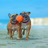 Bulldogs Playing At The Beach Diamond Painting