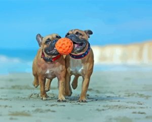 Bulldogs Playing At The Beach Diamond Painting