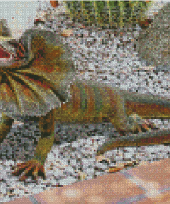 Colorful Frill Necked Lizard Diamond Paintings