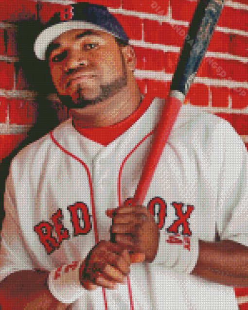 Cool David Ortiz Diamond Paintings