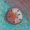 Cool Sand Dollar Diamond Paintings