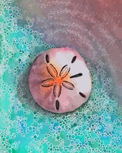 Cool Sand Dollar Diamond Painting