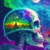 Colorful Skull Diamond Painting