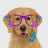 Dog Wearing Flowering Glasses Diamond Painting