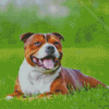 Happy Staffordshire Bull Terrier Diamond Paintings