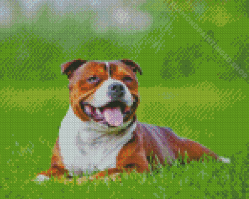 Happy Staffordshire Bull Terrier Diamond Paintings