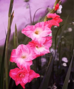 Pink Gladiolus Flowers Diamond Painting