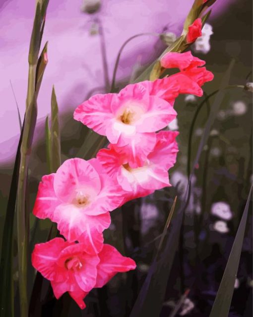 Pink Gladiolus Flowers Diamond Painting