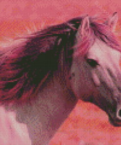 Pink Horse Diamond Paintings