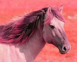 Pink Horse Diamond Painting