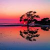 Purple Sunset Australian Landscape Reflection Diamond Painting