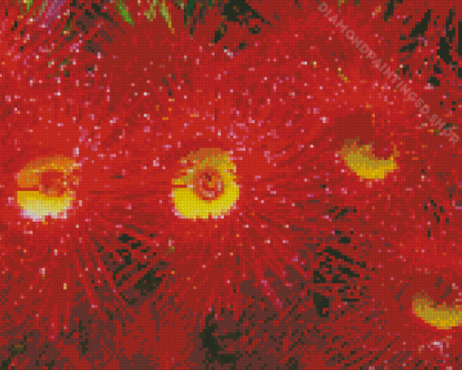 Red Australian Gum Diamond Paintings