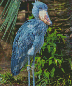 Shoebill Bird Diamond Paintings