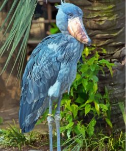 Shoebill Bird Diamond Painting