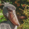 Shoebill Side View Diamond Paintings