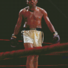 Sugar Ray Robinson American Boxer Diamond Paintings