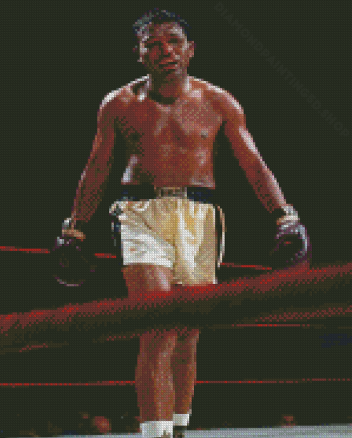 Sugar Ray Robinson American Boxer Diamond Paintings