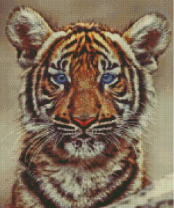 Sweet Baby Face Tiger Animal Diamond Paintings