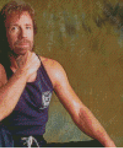 The Martial Artist Chuck Norris Diamond Paintings