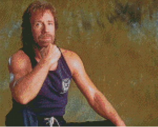 The Martial Artist Chuck Norris Diamond Paintings