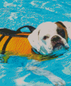 White Dog In Water Diamond Paintings
