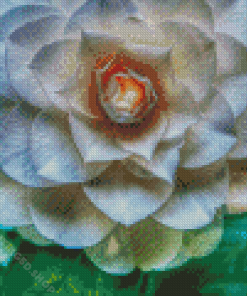 White Camellia Flower Diamond Paintings