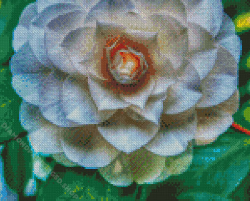 White Camellia Flower Diamond Paintings