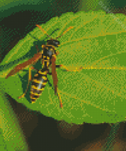Yellow Jacket Wasp On Leaf Diamond Paintings