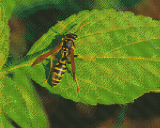 Yellow Jacket Wasp On Leaf Diamond Paintings