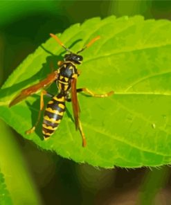 Yellow Jacket Wasp On Leaf Diamond Painting