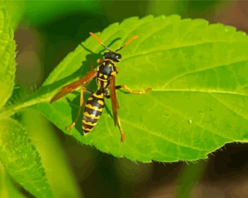 Yellow Jacket Wasp On Leaf Diamond Painting