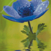 Aesthetic Blue Anemone Diamond Paintings