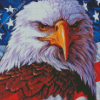 Aesthetic Bald Eagle Diamond Paintings