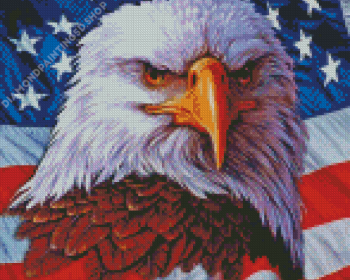 Aesthetic Bald Eagle Diamond Paintings