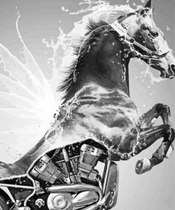 Black And White Motorcycle And Horse Diamond Painting