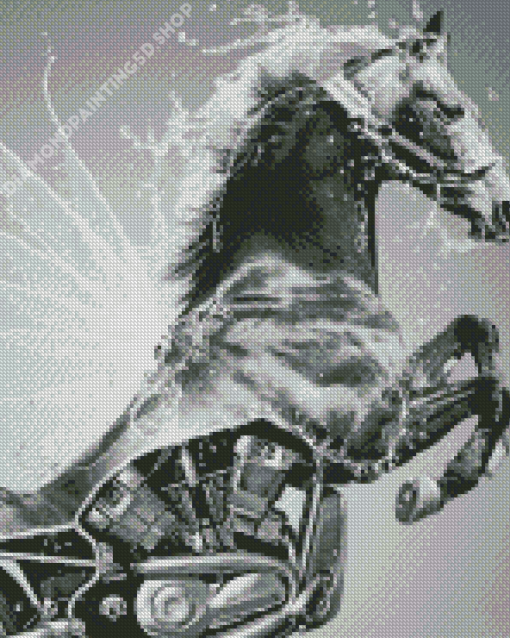 Black And White Motorcycle And Horse Diamond Paintings